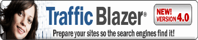 Traffic Builder, Search Engine Placement, Website Promotion, AnestaWeb